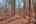 Blurred preview of media: IMG_0641_2_3_easyHDR