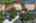 Blurred preview of media: iPixx_10_25_Copy