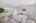 Blurred preview of media: 18313 E Crestline Cir 00016