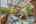 Blurred preview of media: 129MorrisSt-11