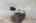 Blurred preview of media: 11