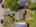Blurred preview of media: DJI_20250902133556_0033_D