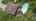 Blurred preview of media: 3.4