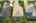 Blurred preview of media: iPixx_10_16