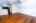 Blurred preview of media: IMG_1812