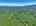Blurred preview of media: DJI_20260608140930_0575_D_6_D_7_D_easyHDR