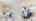Blurred preview of media: 655-Bermuda-Avenue-Oshawa-09282025_120144