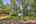 Blurred preview of media: IMG_3303_4_5_easyHDR
