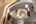 Blurred preview of media: 2025_01_January_47_Major_Ridge_Rd_0109