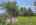 Blurred preview of media: IMG_1212