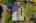 Blurred preview of media: Aerial 04