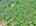 Blurred preview of media: DJI_20260527104903_0140_D_1_D_2_D_easyHDR
