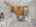 Blurred preview of media: Daytime49