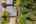 Blurred preview of media: 1-51