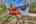 Blurred preview of media: IMG_9658_59_60_easyHDR