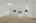 Blurred preview of media: 14
