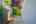 Blurred preview of media: 1030 S Delaware St-136