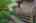 Blurred preview of media: 03