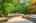 Blurred preview of media: 64 Ravina Cres, Ancaster _ Nathan Ferro139