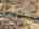Blurred preview of media: DJI_20260329110510_0104_D_5_D_6_D_easyHDR