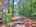 Blurred preview of media: DJI_20250603145159_0674_D_5_D_6_D_easyHDR