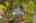 Blurred preview of media: Aerial 13 Marker