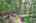 Blurred preview of media: IMG_4598_599_600_easyHDR