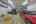 Blurred preview of media: IMG_1600_1_2