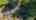 Blurred preview of media: Aerial 12