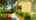 Blurred preview of media: Unknown media