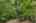 Blurred preview of media: 1-45