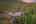 Blurred preview of media: 229 Highlands Drive , Breckenridge, Colorado, 80424 - Web-65