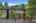 Blurred preview of media: 25
