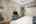Blurred preview of media: 23-5034_NW_Deerhaven_Ter