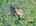 Blurred preview of media: DJI_20250802150129_0742_D_3_D_4_D_easyHDR
