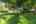Blurred preview of media: 00_Ipixx_5