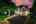 Blurred preview of media: 4Sept0002