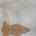 Blurred preview of media: DSC02535