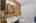 Blurred preview of media: 850_8558
