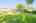 Blurred preview of media: 7 Wallis Ave, Smithville _ Nathan Ferro73