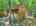 Blurred preview of media: DJI_20260608135842_0518_D_19_D_20_D_easyHDR
