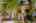 Blurred preview of media: Aerial 06 Marker