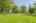 Blurred preview of media: 5