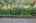Blurred preview of media: DSC04271