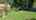 Blurred preview of media: DJI_20260929141834_0101_D_ROB26