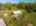 Blurred preview of media: 817 Brill Road Aerial LRCF-28