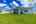 Blurred preview of media: iPixx_02_6