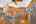 Blurred preview of media: 13170 SE Flamingo Dr-29