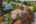 Blurred preview of media: 1-4
