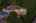 Blurred preview of media: Aerial 25